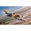 Image de A-10a Thunderbolt Ii - 1:72e -
