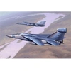 Image de Ef-111 Raven - 1:48e -
