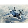 Image de Russian Mig-31b/bm Foxhound - 1:48e -
