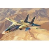 Image de Persian Cat F-14a Tomcat-iriaf - 1:48e -