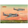 Image de Plaaf P-51d/k Mustang Fighter - 1:48e -