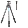 Image de Trépied LS-224C + Rotule LH-25
