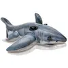 Image de Grand Requin Blanc à Chevaucher