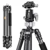 Image de Trepied carbone + rotule BH-30