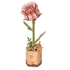 Image de Puzzle 3D en bois Rosier rose