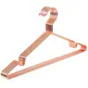 Image de Cintre métallique antirouille, Rosé