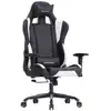 Image de Fauteuil gamer ergonomique, Noir + Blanc