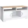 Image de Meuble TV blanc couleur boisée