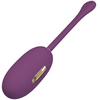 Image de Oeuf Vibrant Connecté Electro Doreen 7 x 3.4 cm Prune