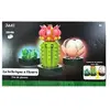 Image de Plant