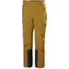 Image de Helly Hansen - Switch Cargo 2.0 Pant - Pantalon ski femme Lynx - L