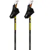Image de Swix Bâtons Dynamic D3