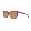 Image de Lunettes de soleil homme hh5003-c01-55