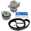 Image de Pompe À Eau + Kit De Courroie De Distribution Vkmc 01113-2 Skf Skf Vkmc011132 Seat;Skoda;Volkswagen