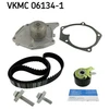 Image de Pompe À Eau + Kit De Courroie De Distribution Vkmc 06134-1 Skf Skf Vkmc061341 Nissan;Renault