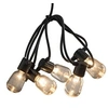 Image de Guirlande lumineuse avec 20 ampoules ovales transparentes