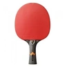 Image de raquette de tennis de table royal three star wrb