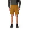 Image de Houdini Sportswear - M's Liquid Shorts - Short randonnée homme Greenish Gold - XL