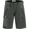 Image de Fjällräven - Abisko Shorts - Short randonnée homme Dark Grey - EU 50