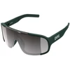 Image de Lunettes POC Aspire Cat. 3 Vert Verre Gris