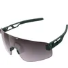 Image de POC Elicit Toric, lunettes de soleil, pargasite green Onesize