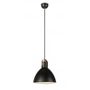Image de Suspension EAGLE Noir en métal 1 ampoule