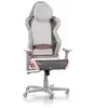 Image de Chaise Gaming AIR R1S - Gris et Rose
