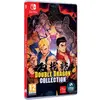 Image de Double Dragon Collection Nintendo Switch