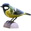 Image de decobird mésange charbonnière