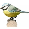 Image de decobird mésange bleue