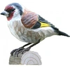 Image de décobird chardonneret