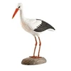 Image de decobird cigogne blanche