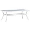 Image de Table de Jardin Virya 200cm Blanc & Gris