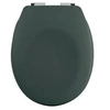 Image de abattant wc thermo dur neela vert foncé mat - charnières abs chromé