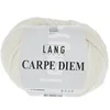 Image de Pelote de Laine et Alpaga à tricoter CARPE DIEM -(...) - 0094 Ecru