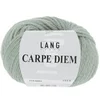 Image de Pelote de Laine et Alpaga à tricoter CARPE DIEM -(...) - 0092 Vert Sauge