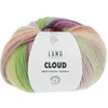 Image de Pelote de laine CLOUD - 100GR -(...) - Multicolore (0009)