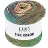 Image de Pelote exceptionnelle de soie SILK COLOR - 100 GR -(...) - 06 Multicolore