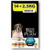 Image de Purina Pro Plan 14+ Adulte Grandes Races Robuste 2.5kg 2XL