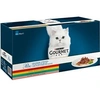 Image de PERLE Les Filettines en Sauce Multivarietes - 60x85g