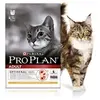 Image de PRO PLAN - Chat Adult Saumon - 1,5kg