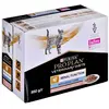Image de Purina Nf Fonction Rénale Aliment Humide Pour Chat Au Saumon 85g