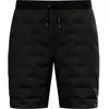 Image de Short Odlo Zeroweight Insulator Noir M 323522-15000