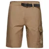 Image de Mammut - Hiking Cargo Shorts - Short randonnée homme Dark Sand - 46