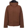 Image de Mammut - Haldigrat GTX HS Thermo Hooded Jacket Men - Veste ski homme Soil - XL