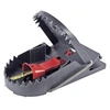 Image de Piège à rats attractif Swissinno 1 180 019 pour lintérieur/extérieur