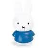 Image de Peluche classique AP Junior Tirelire Bleu 19 cm APMNI117
