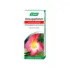 Image de A.Vogel Harpagophytum Articulations 50ml