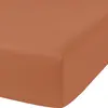 Image de Drap housse percale de coton terracota 140x190 cm