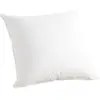 Image de Oreiller enveloppe coton biologique - 50% duvet canard et oie - medium